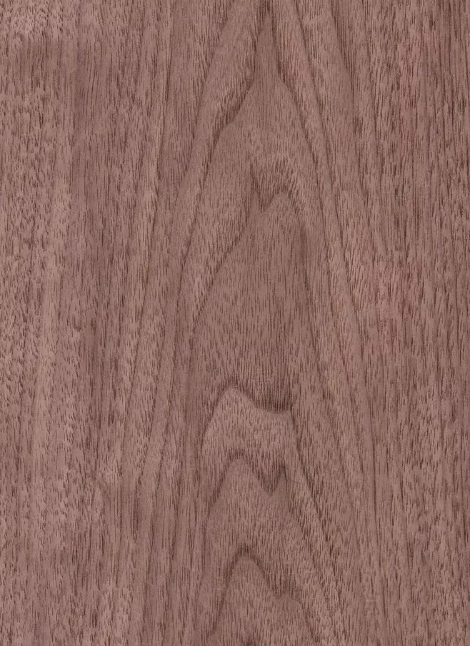 1600306820.jpg 黑胡桃芯材顏色是淡褐色到深褐色並伴隨有深褐色的條紋。顏色有時是灰色、紫色或紅色。邊材顏色是淺黃灰色接近白色。此樹種通常可以見到影紋,卷紋,樹杈紋及樹瘤紋。紋理通常是直紋或相互交錯,材質良好,自然光澤度中等。.webp.jpg