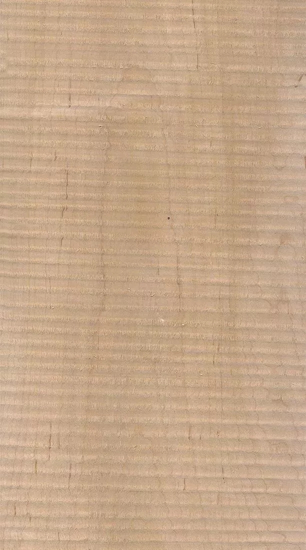 1600306941.jpg 樺木的芯材顏色是淡紅棕色,邊材顏色近白色,板麵寬且帶影的木皮市場價格良好,紋理通常是直紋和波浪紋,質地均勻,板麵有很好的自然光澤度。.webp.jpg