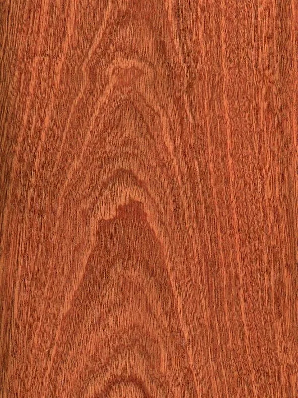 1600307368.jpg 沙比利,芯材顏色是金黃到深紅棕色。顏色隨著樹齡增長顏色會變暗。開鋸後的木板上有條紋狀,沙比利也以其他花紋紋理而出名,例如:球紋、漩渦紋、斑影紋、波浪紋等。紋理通常是不規則,有時是波浪狀。質地均勻,板麵有良好的自然光澤度。.webp.jpg